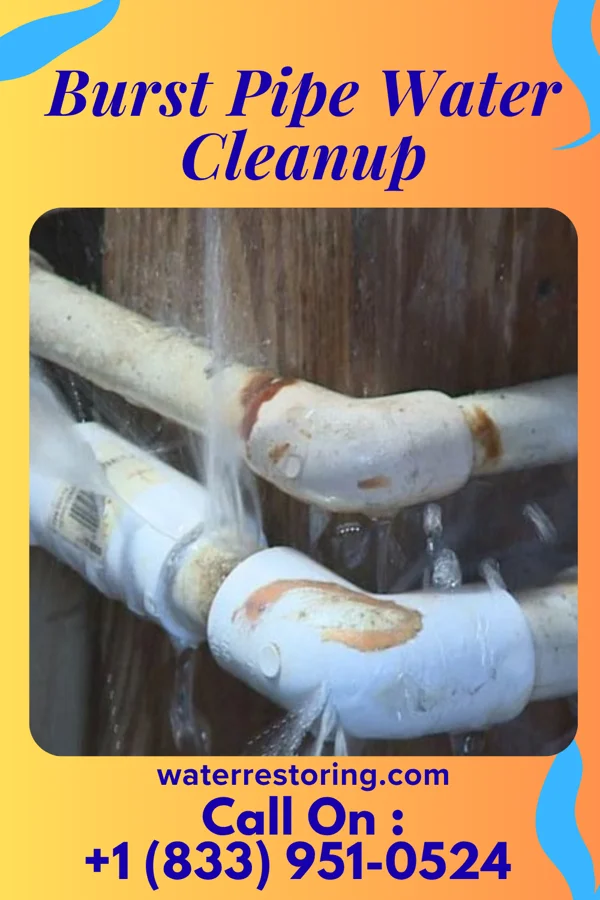 Burst Pipe Water Cleanup in Harpers Ferry, IA