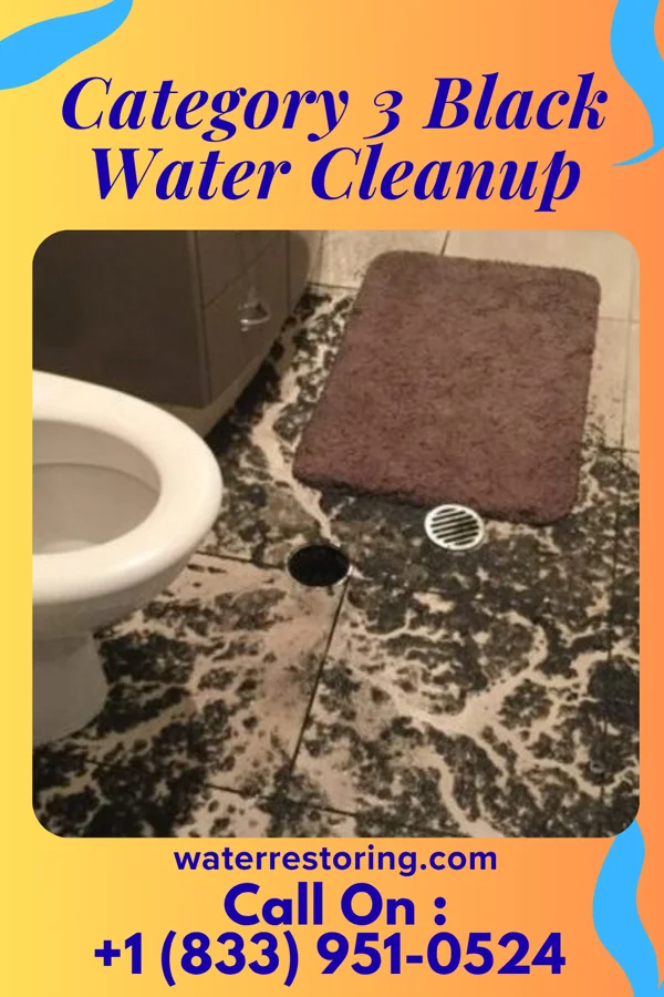 Category 3 Black Water Cleanup in Harpers Ferry, IA